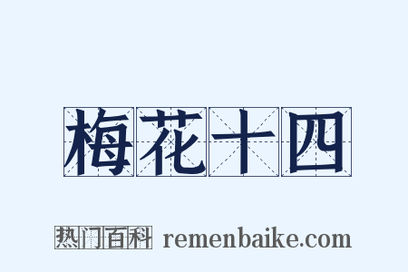 梅花十四是什么意思的图片